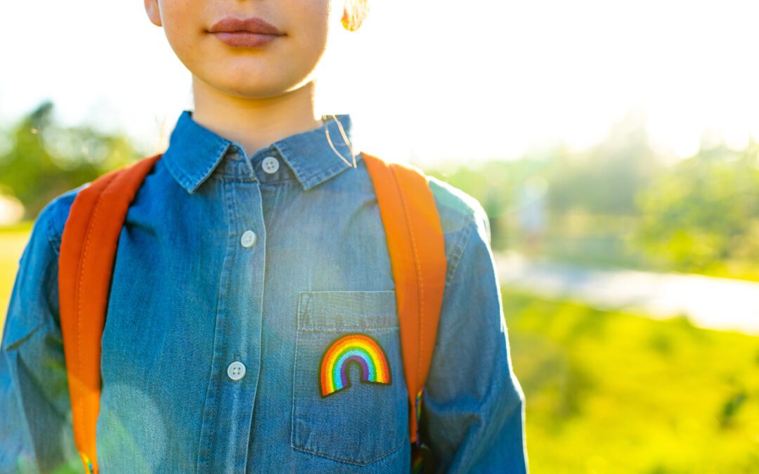 School badge lookup – Linking the rainbow